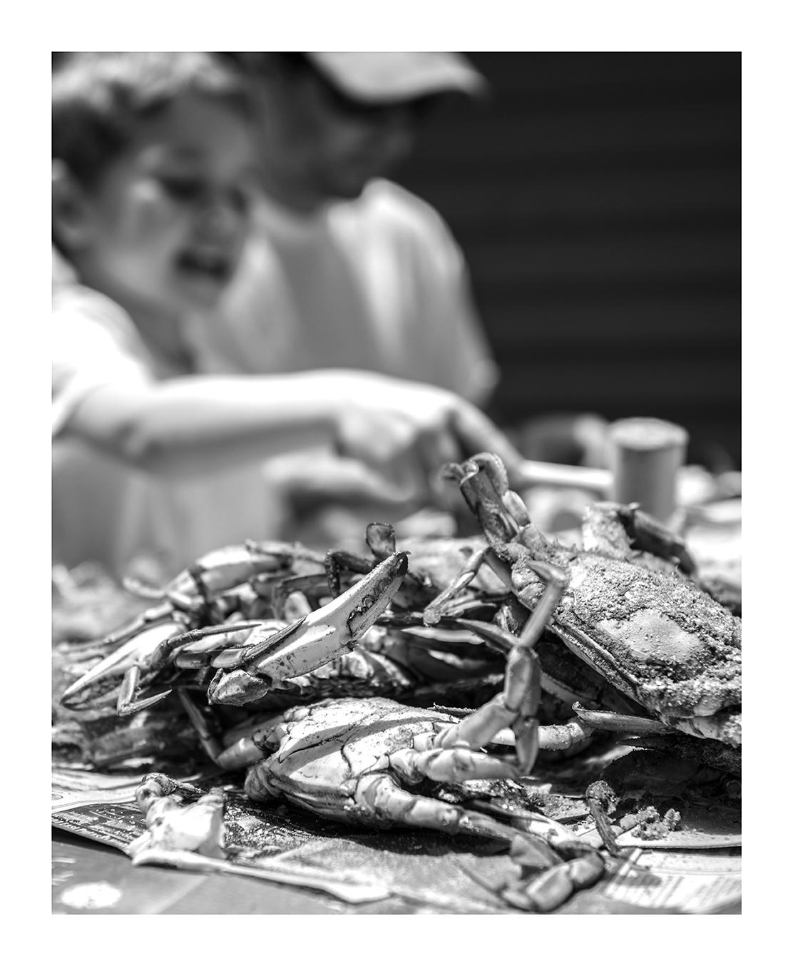 Summer Crab Feast, Annapolis, Maryland 