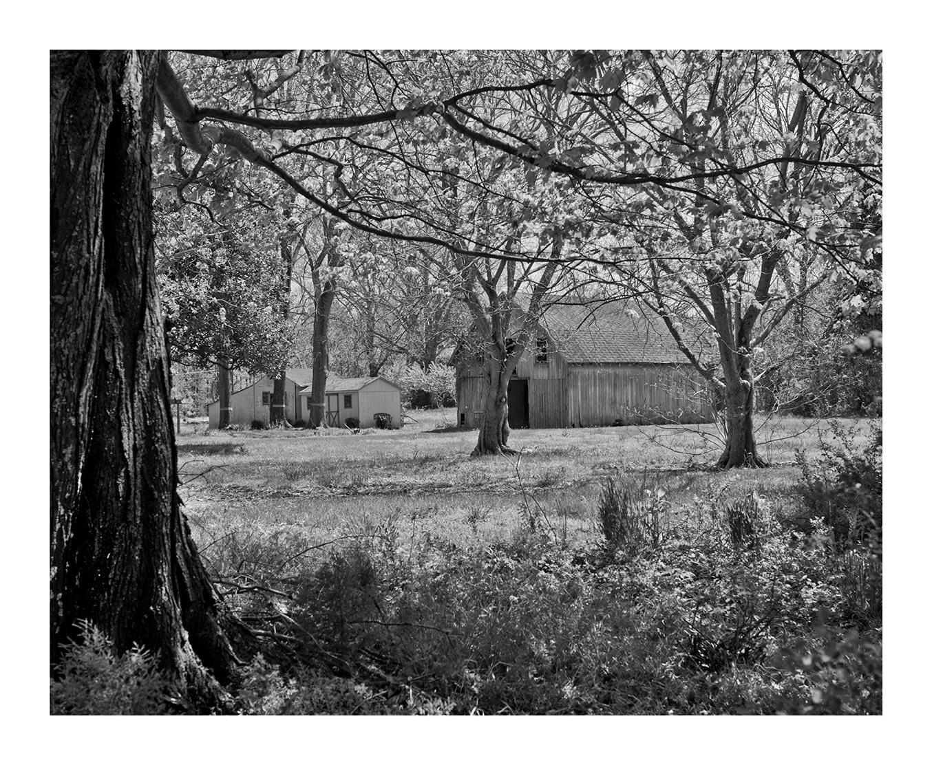 Abandoned Barn, Quantico, Maryland