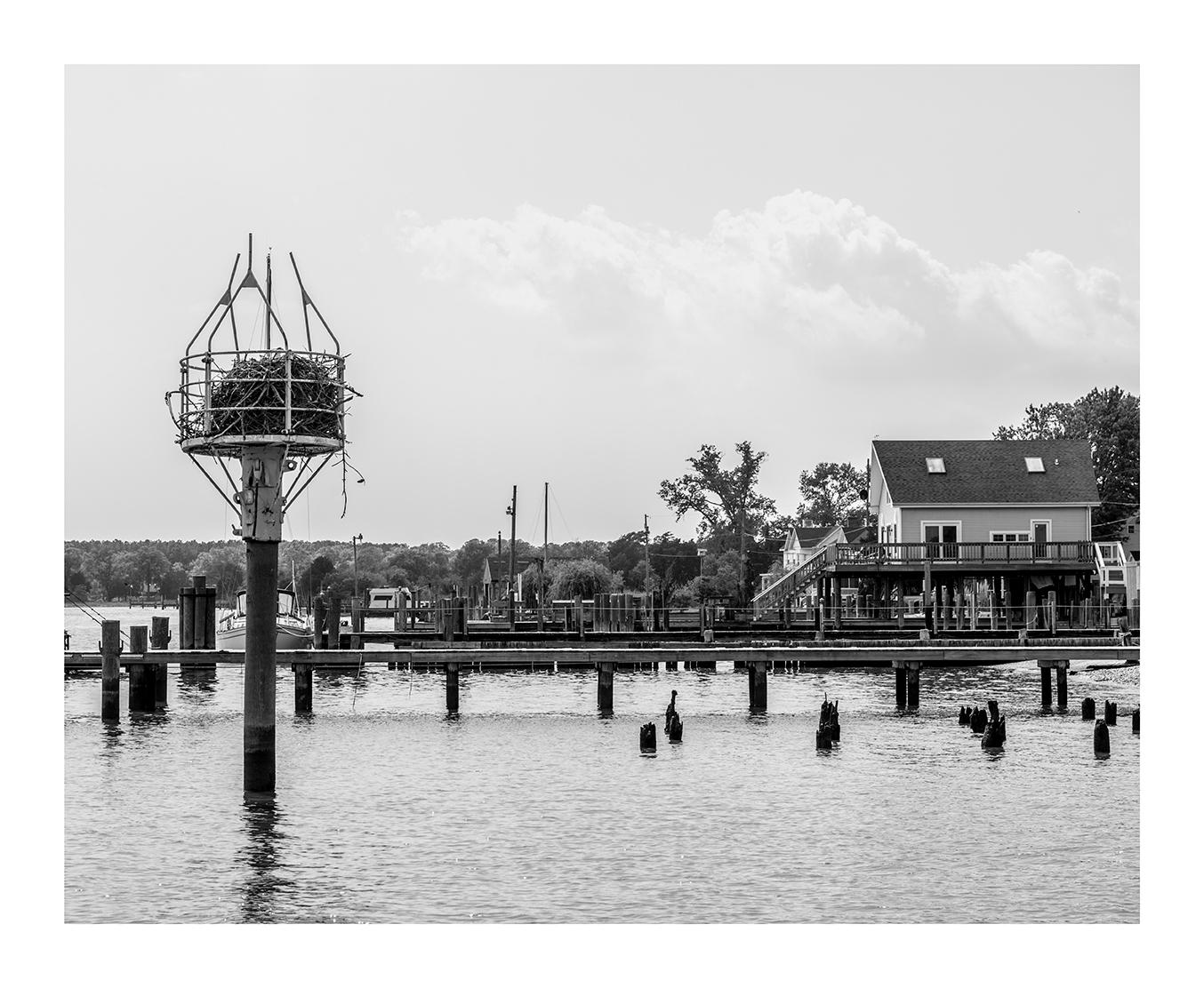 Osprey Nest and Waterfront, Whitehaven, Maryland