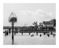 Osprey Nest and Waterfront, Whitehaven, Maryland