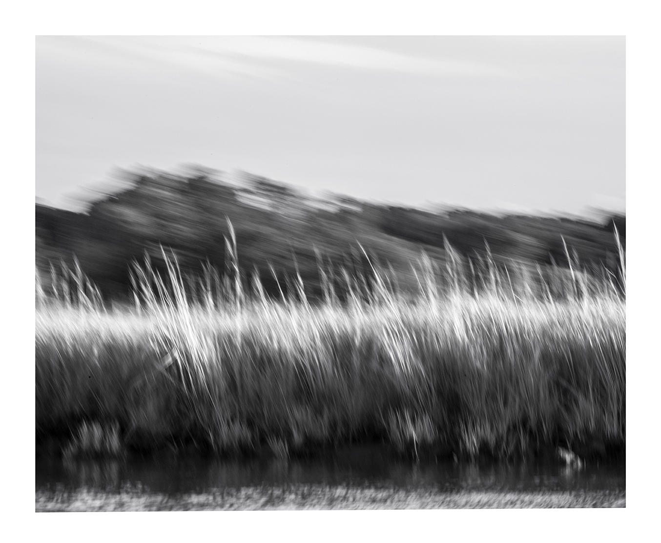 Marsh Motion, Eden, Maryland