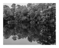 Reflections, Johnson's Pond, Salisbury, Maryland