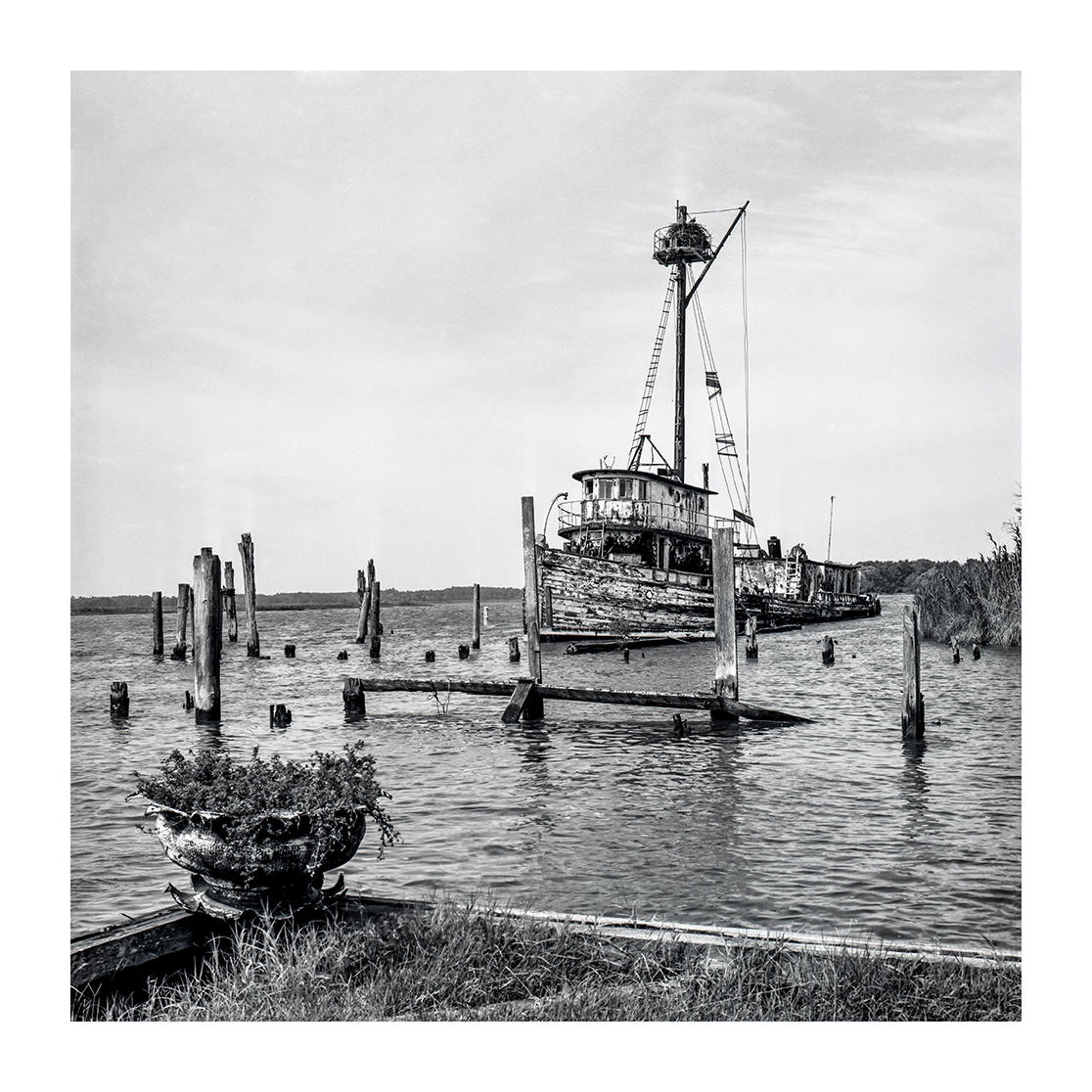 The Wilbur T. Evans, one of the last vestiges of the once thriving Menhaden Fishery that worked the waters throughout the Chesapeake's waterways, Whitehaven, Maryland